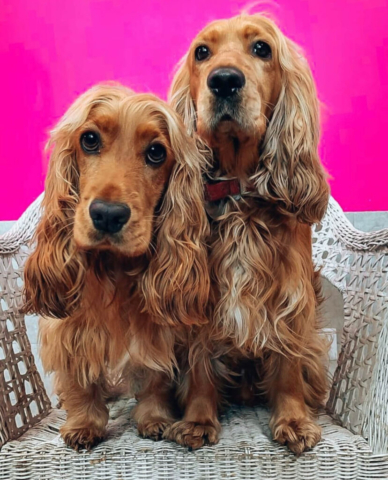 Chloe e Jack